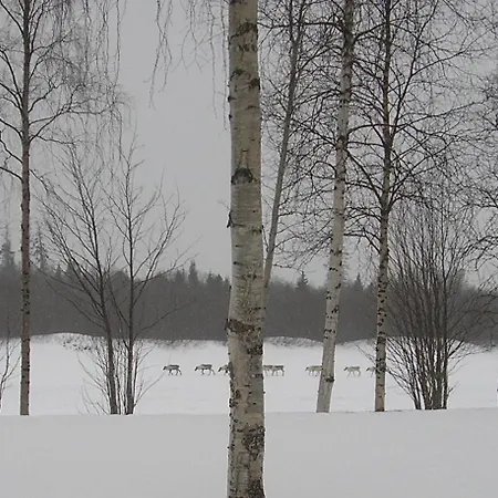 Riverhouse Ivalo