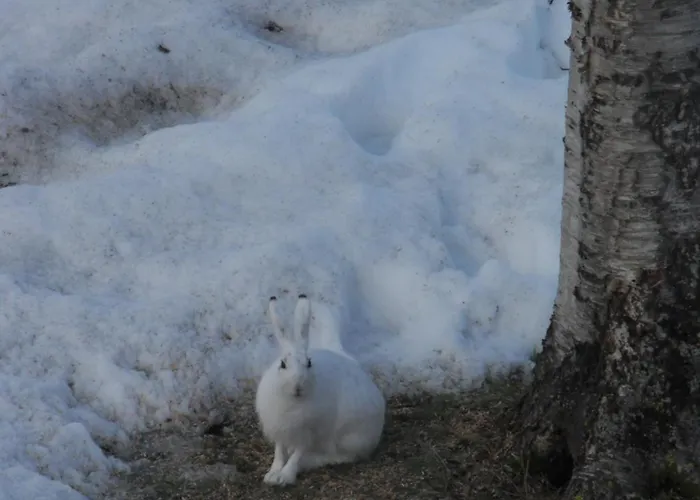 Prázdninový dům Riverhouse